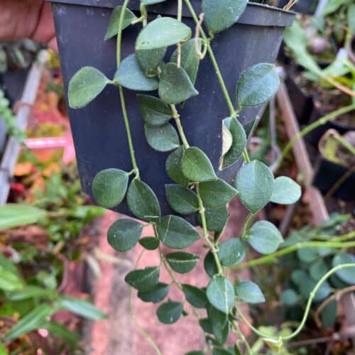 01mi7FClNQP4c7ywDnfV.jpg 01mi7FClNQP4c7ywDnfV.jpg