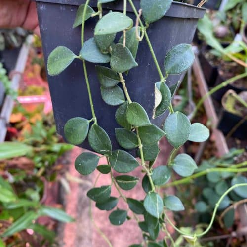 01mi7FClNQP4c7ywDnfV.jpg 01mi7FClNQP4c7ywDnfV.jpg