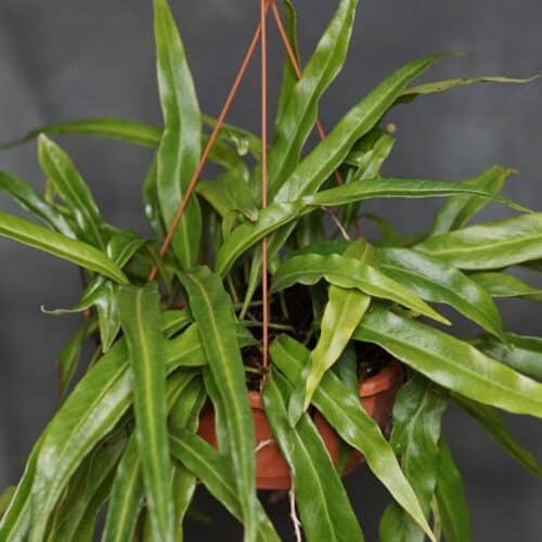 06wg1Lz82pGvEyQHGaW5.jpg 06wg1Lz82pGvEyQHGaW5.jpg