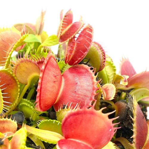 07RahXmpeYvcF5JQzHXn.jpg 07RahXmpeYvcF5JQzHXn.jpg