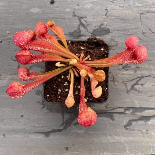 0HRGXacCeWlSJbRIOTxv.jpg 0HRGXacCeWlSJbRIOTxv.jpg