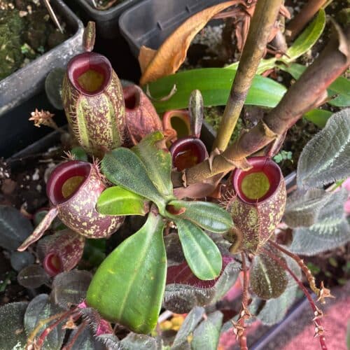 0Ijoi2q2Dkg5TxgiwT9a.jpg 0Ijoi2q2Dkg5TxgiwT9a.jpg