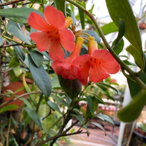 0S6s9NJYfObtTITseTz4.jpg 0S6s9NJYfObtTITseTz4.jpg