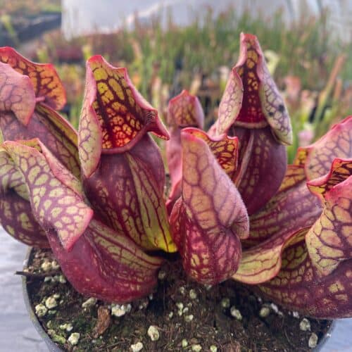 0YhRGigaQLon7PzADqFb.jpg 0YhRGigaQLon7PzADqFb.jpg