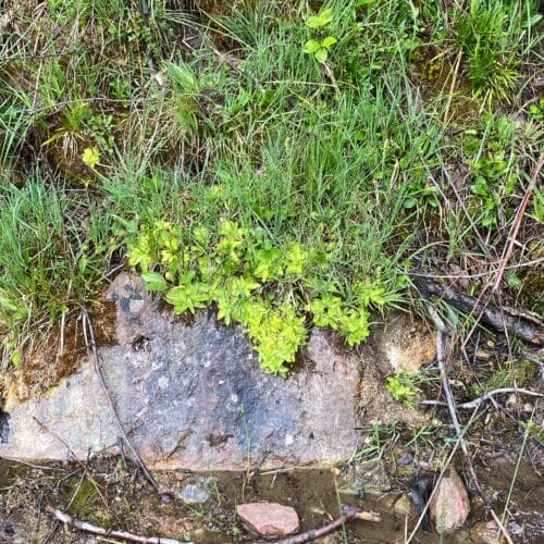 0hxPz8Gf6E8UgOupECkB.jpg 0hxPz8Gf6E8UgOupECkB.jpg