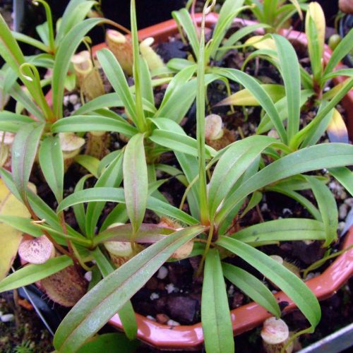 0oIFezXWDbKcw1OEbLM7.jpg 0oIFezXWDbKcw1OEbLM7.jpg