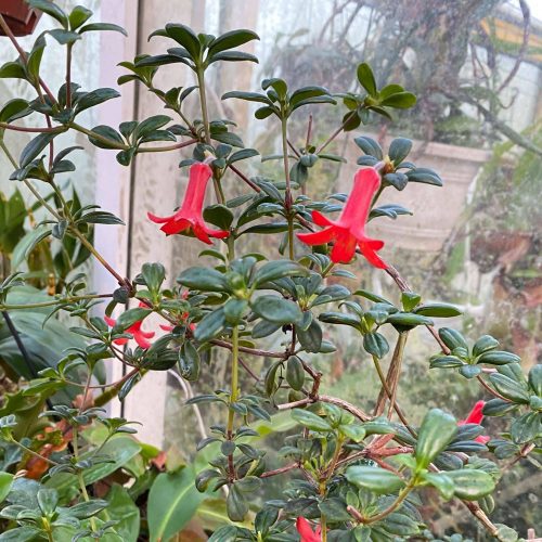 1aF8KWp4R7w1FVp0ESio.jpg 1aF8KWp4R7w1FVp0ESio.jpg