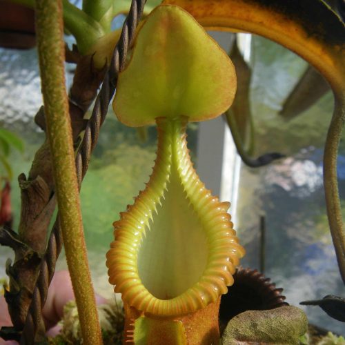 1jxn027AiMTIfjB6Yo8K.jpg 1jxn027AiMTIfjB6Yo8K.jpg