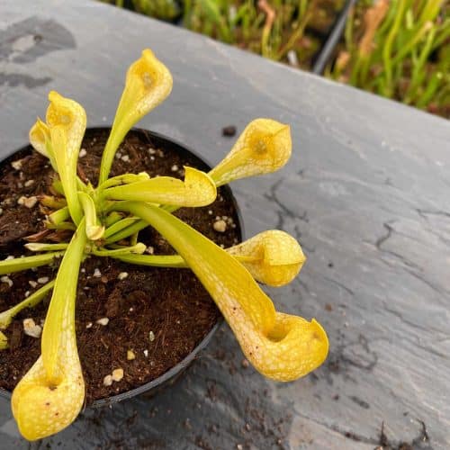 1qa2npylRMt1hu1ETjzT.jpg 1qa2npylRMt1hu1ETjzT.jpg