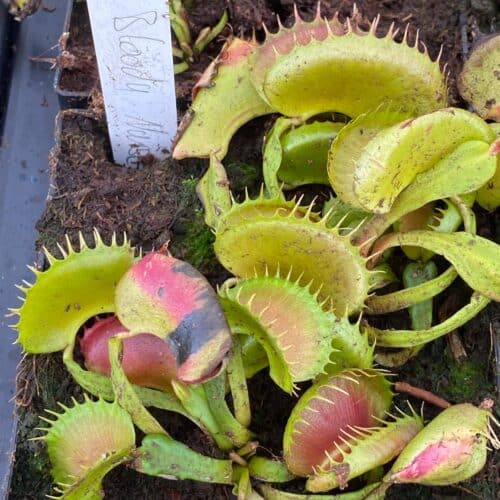 1uBRj4WbAKgfpAUHfXhZ.jpg 1uBRj4WbAKgfpAUHfXhZ.jpg