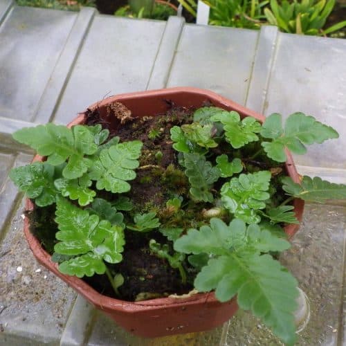 1yx1mptgH320AGEPl2Zo.jpg 1yx1mptgH320AGEPl2Zo.jpg