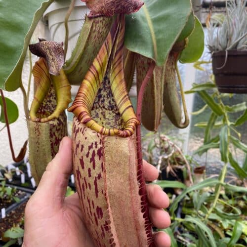 2E2nLGl21tr0e7awAR8a.jpg 2E2nLGl21tr0e7awAR8a.jpg