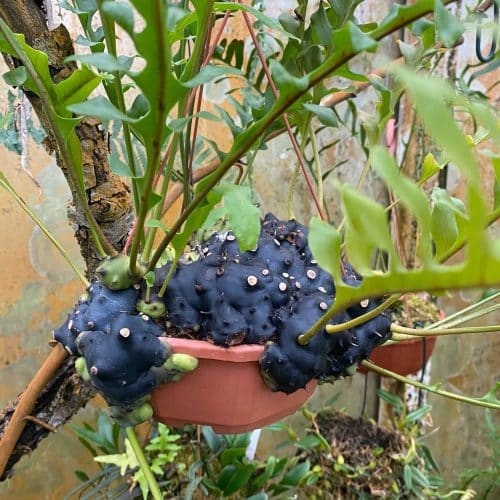 2JeNyKx64t6On3WjDZj4.jpg 2JeNyKx64t6On3WjDZj4.jpg