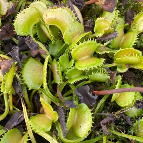 2QFASlzq8tBA3HkOf1fT.jpg 2QFASlzq8tBA3HkOf1fT.jpg