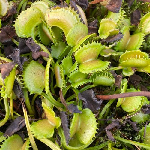 2QFASlzq8tBA3HkOf1fT.jpg 2QFASlzq8tBA3HkOf1fT.jpg