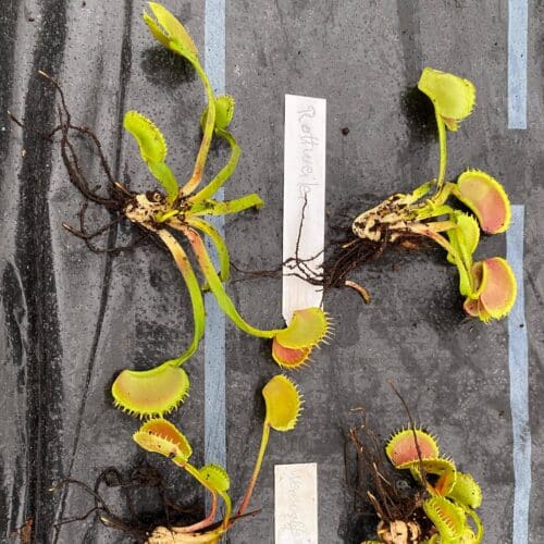 2XvicMCP2kwvtqRkhZRm.jpg 2XvicMCP2kwvtqRkhZRm.jpg