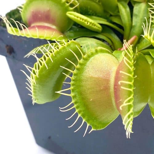 2d9WY3WL2PS0eDQiyS7N-1.jpg 2d9WY3WL2PS0eDQiyS7N-1.jpg