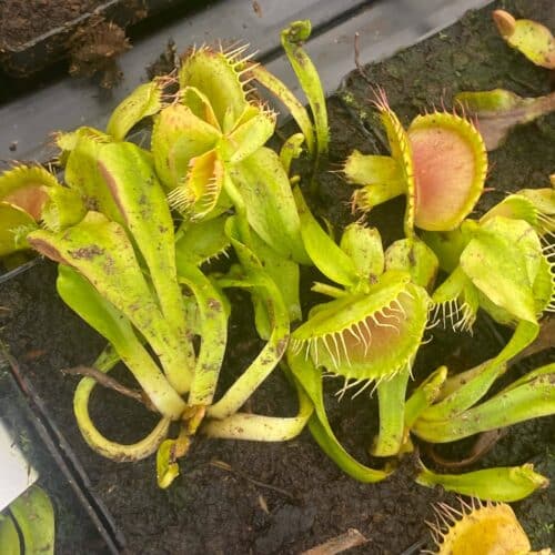 2o7wZ7Sbd0PMacnQVcIB.jpg 2o7wZ7Sbd0PMacnQVcIB.jpg