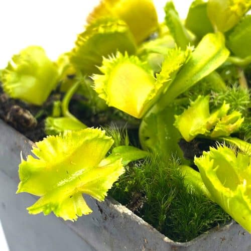 2vErE57CBxx07puHNyMv-1.jpg 2vErE57CBxx07puHNyMv-1.jpg