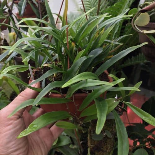 36hds4FEMyxYQ29exOto.jpg 36hds4FEMyxYQ29exOto.jpg