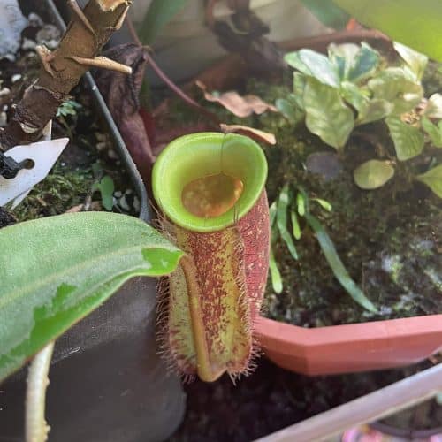 38lDD0GoE3ZvXWwNR2fd.jpg 38lDD0GoE3ZvXWwNR2fd.jpg