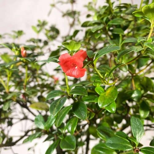 38pKuDuZDhsNcHYHAh3M.jpg 38pKuDuZDhsNcHYHAh3M.jpg