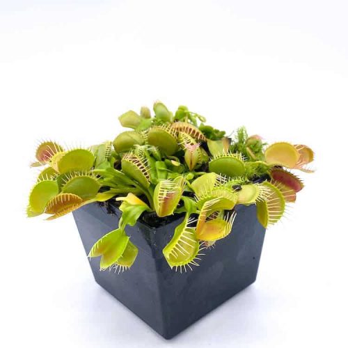 3Ay2FnS8vTVPufFZMWpU.jpg 3Ay2FnS8vTVPufFZMWpU.jpg