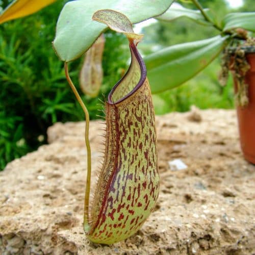 3E9Fl1yzqsbqTTnfowir.jpg 3E9Fl1yzqsbqTTnfowir.jpg