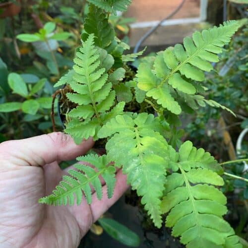 3GBQibyaLPEPPWgI8im2.jpg 3GBQibyaLPEPPWgI8im2.jpg