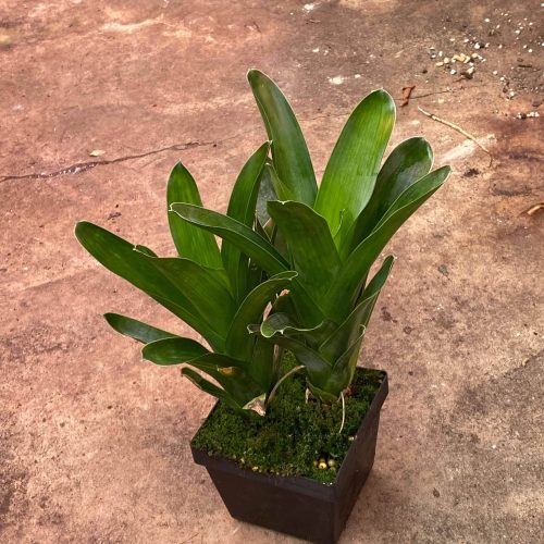 3N3PUaGAvfAbW6IfL4Oc.jpg 3N3PUaGAvfAbW6IfL4Oc.jpg