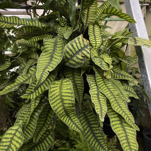 3VXuaUQU7hR7AEcL8yZo.jpg 3VXuaUQU7hR7AEcL8yZo.jpg