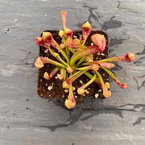 3bvq8jTihXQFXJbaKsbK.jpg 3bvq8jTihXQFXJbaKsbK.jpg