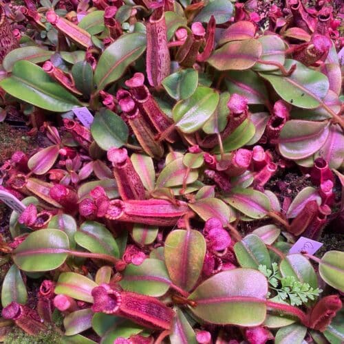 3dbC8YvWqh7s2sTSTfme.jpg 3dbC8YvWqh7s2sTSTfme.jpg