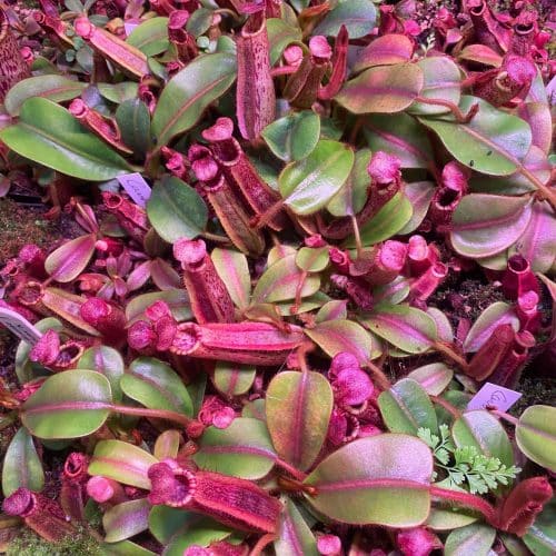 3dbC8YvWqh7s2sTSTfme.jpg 3dbC8YvWqh7s2sTSTfme.jpg