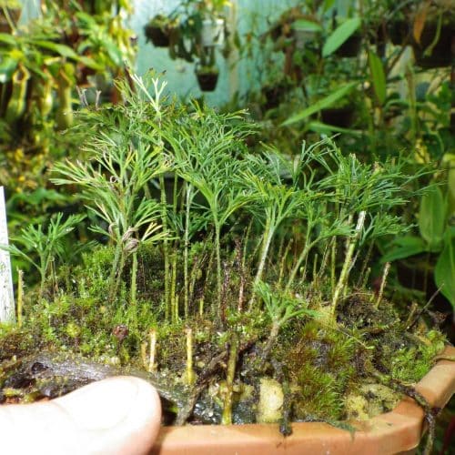 3fTPI4iEF2WfGbJB1mQ2.jpg 3fTPI4iEF2WfGbJB1mQ2.jpg