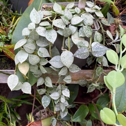 3fwEysqnZM6InQfStGxV.jpg 3fwEysqnZM6InQfStGxV.jpg