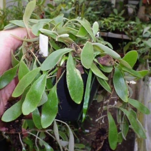 3gMltgz1KFLt479FRNj2.jpg 3gMltgz1KFLt479FRNj2.jpg