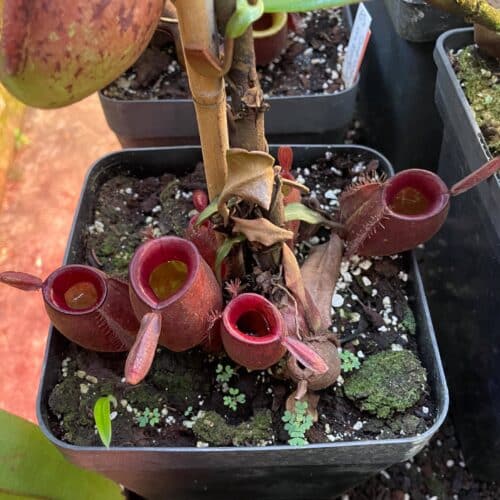 3gn5n0NE9Efbeyu2Lre6.jpg 3gn5n0NE9Efbeyu2Lre6.jpg