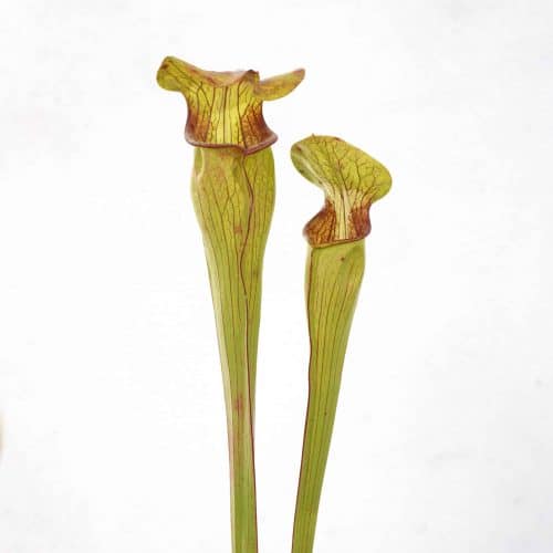 3psLuXHDAyNyWoPqTDB3.jpg 3psLuXHDAyNyWoPqTDB3.jpg