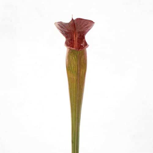 3pvDuCGkV7qcoa5mPxsN.jpg 3pvDuCGkV7qcoa5mPxsN.jpg