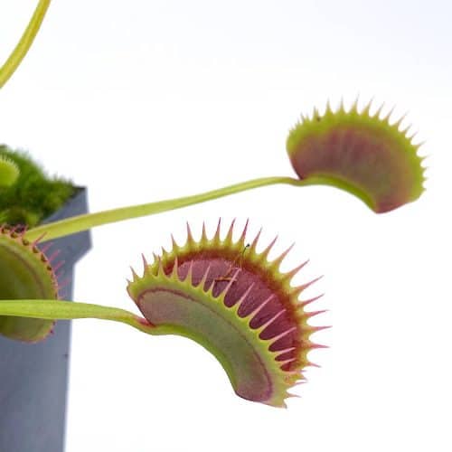 3q4nUpjswcf2yRLPxEDc-1.jpg 3q4nUpjswcf2yRLPxEDc-1.jpg