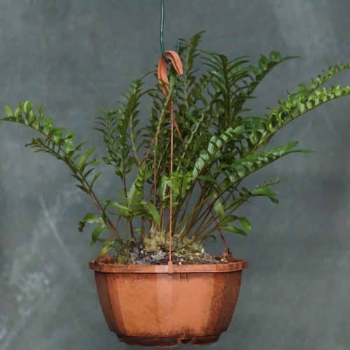 3vCh4AZsJnH2C5kNaWBm.jpg 3vCh4AZsJnH2C5kNaWBm.jpg