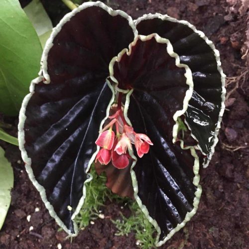 483QC5TXcdWzcWZdtGa8.jpg 483QC5TXcdWzcWZdtGa8.jpg