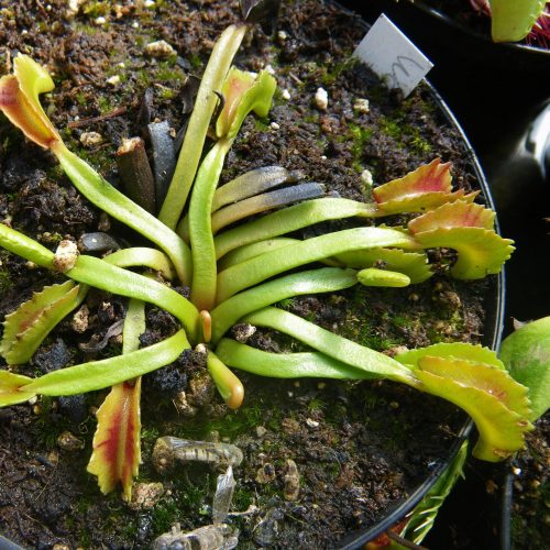 4Jc5GxbWnb7HLNOguLuE.jpg 4Jc5GxbWnb7HLNOguLuE.jpg