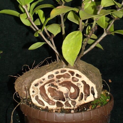 4N9UNhsJ6mxcOgjrOF12.jpg 4N9UNhsJ6mxcOgjrOF12.jpg