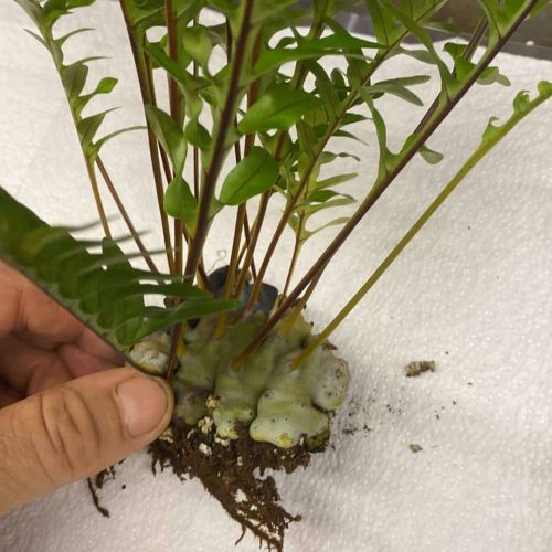 4NPuXSJaRCiy5cHItWY6.jpg 4NPuXSJaRCiy5cHItWY6.jpg