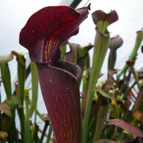 4WBkTlwqOOkSqI2O4z1G.jpg 4WBkTlwqOOkSqI2O4z1G.jpg