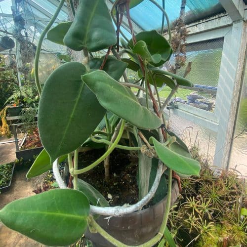 4bn4yoDP65G6rBTy7m3v.jpg 4bn4yoDP65G6rBTy7m3v.jpg