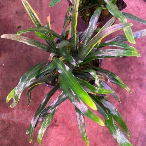 5Bo28SKKHN6vLwYcy1pa.jpg 5Bo28SKKHN6vLwYcy1pa.jpg