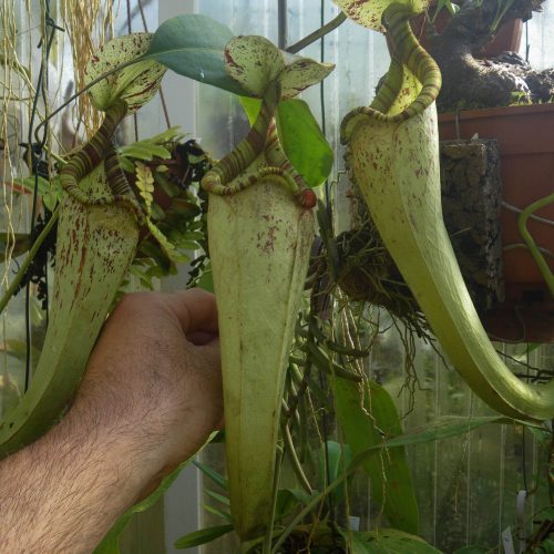 5NnkF7EzsumUDltJ2mq7.jpg 5NnkF7EzsumUDltJ2mq7.jpg